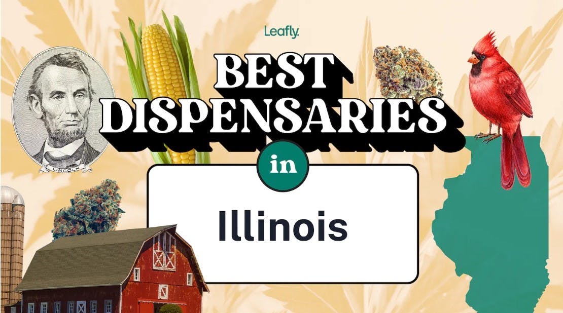Best Rated Marijuana Dispensaries In Illinois