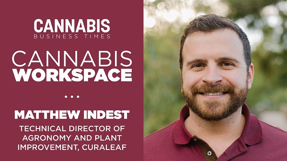 How Curaleaf’s Matthew Indest Works: Cannabis Workspace