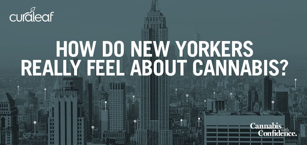 How Do New Yorkers Really Feel About Cannabis? 