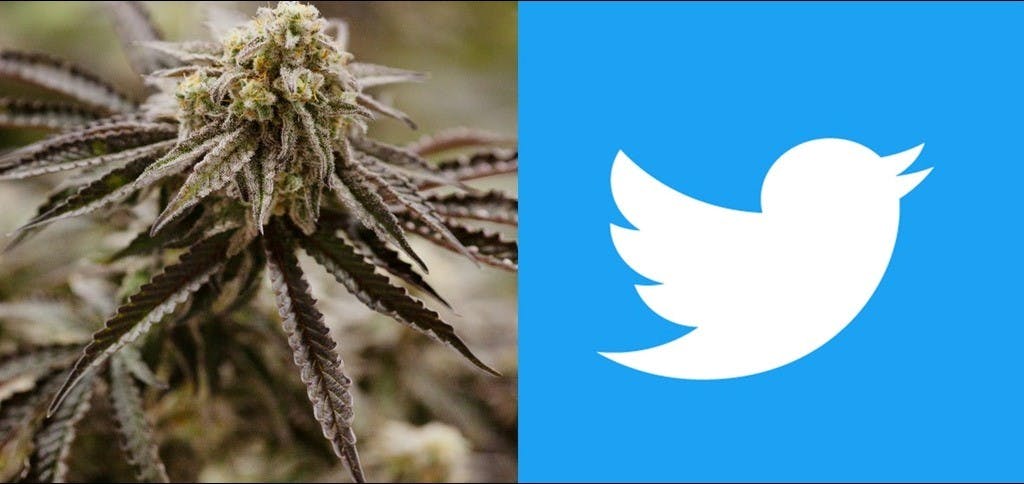 Twitter Becomes First Social Media Platform To Allow Cannabis Ads In U.S.