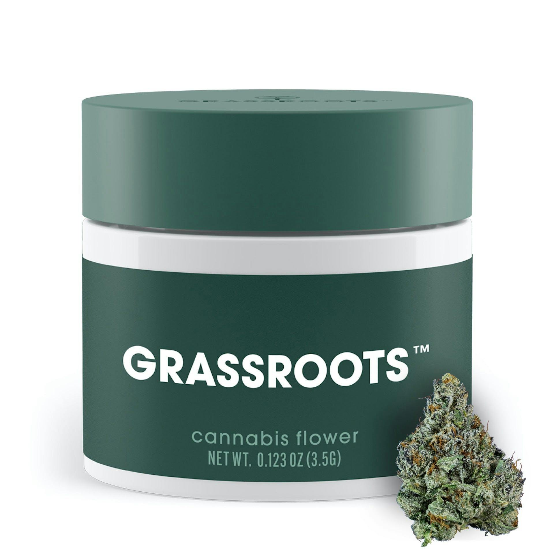 Grassroots StarDawg x Northern Lights - Whole Flower | 1/8oz