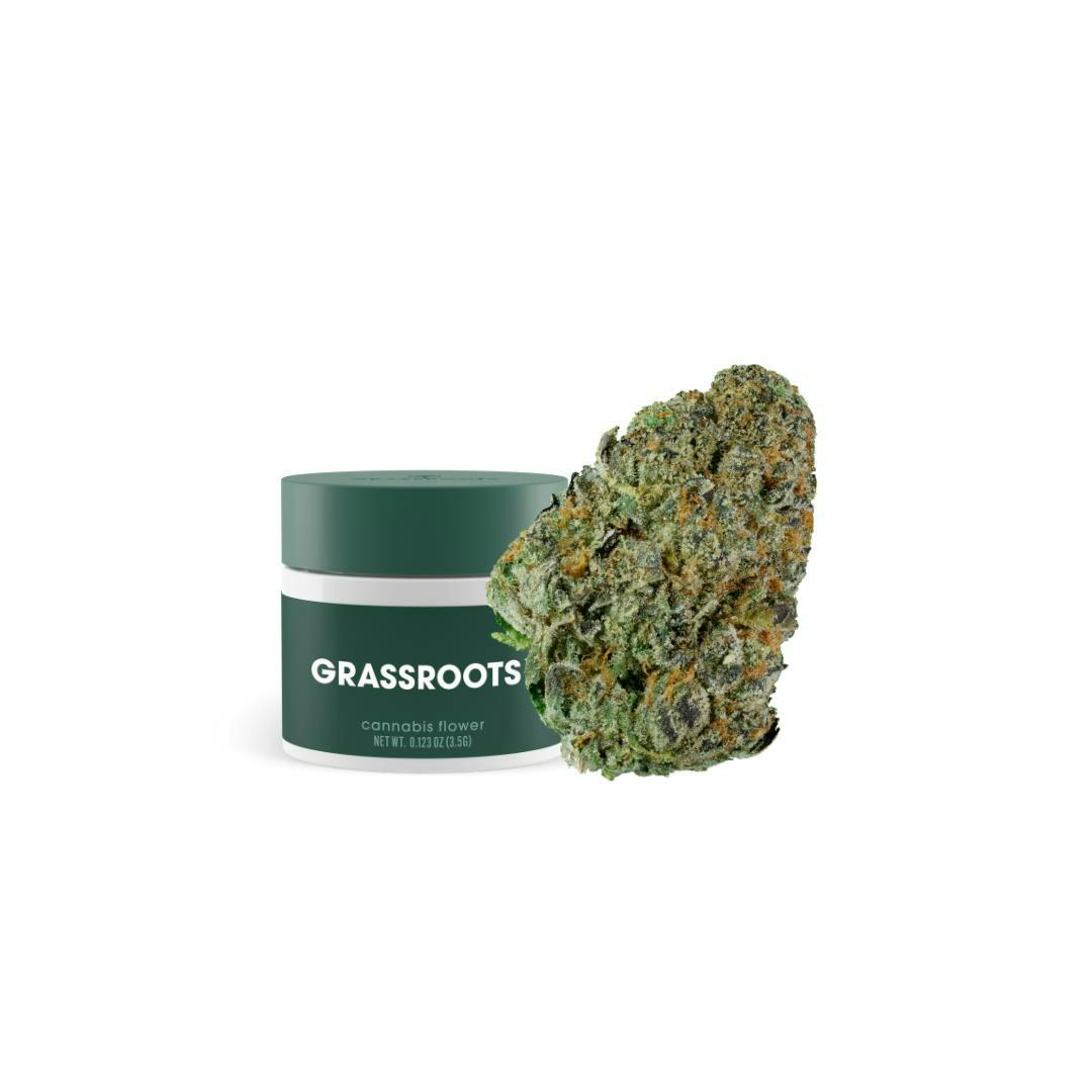 Grassroots Cherry Burger - Whole Flower | 1/8th