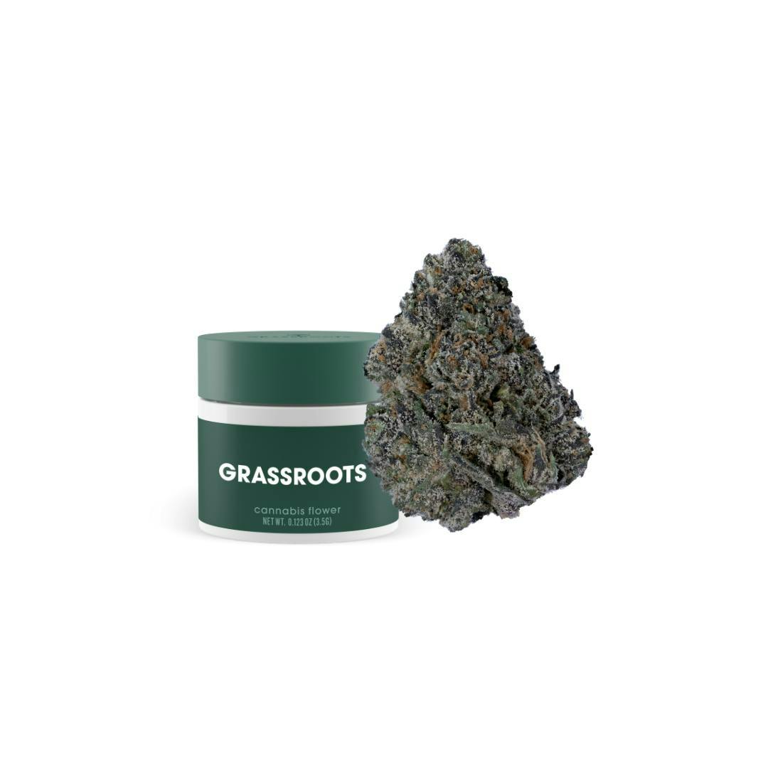 Grassroots Texas Shoreline - Whole Flower | 1/8th