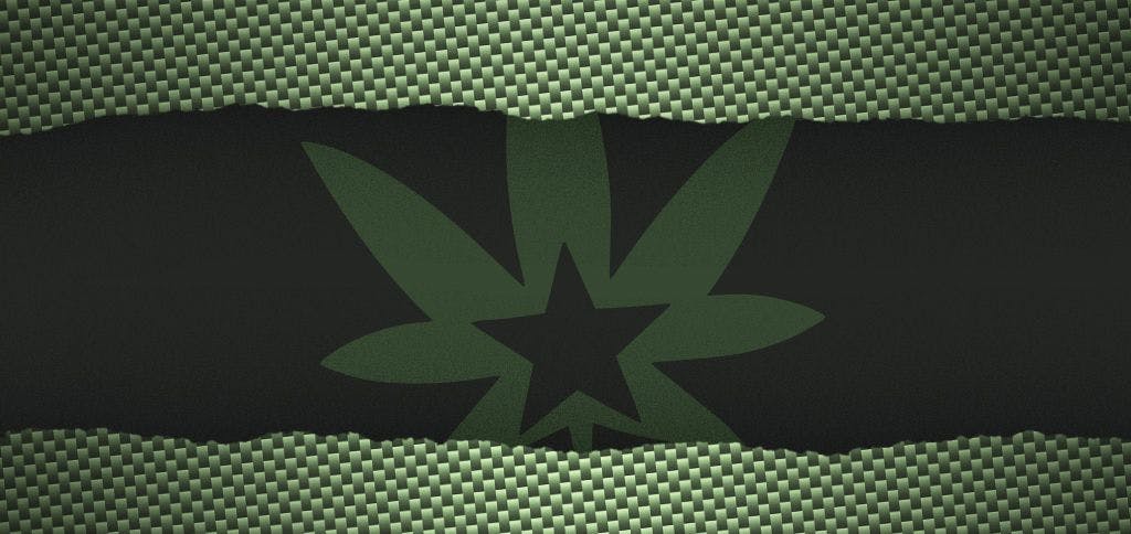 Cannabis: A veteran's right to choose