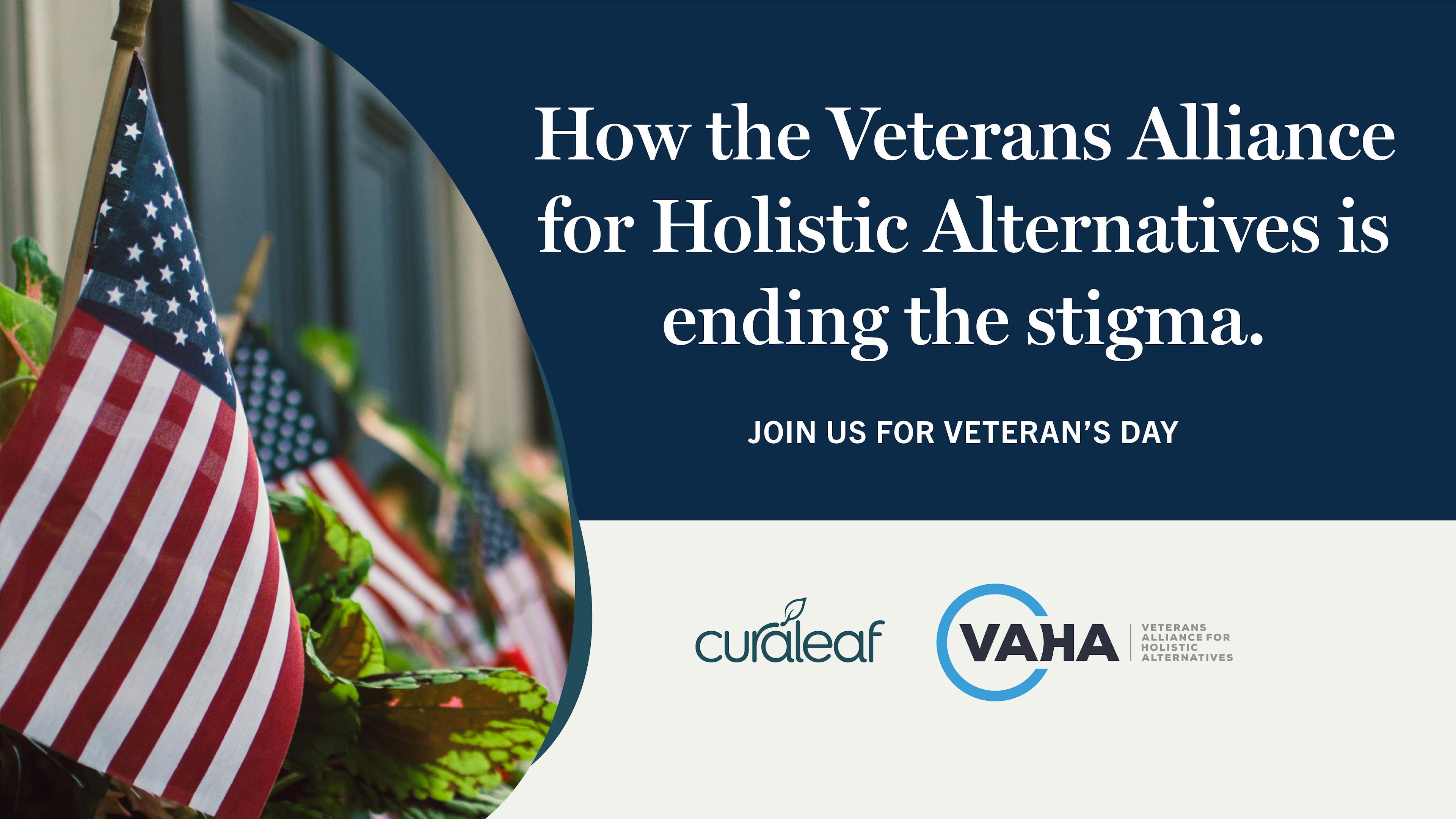 Veterans Alliance for Holistic Alternatives