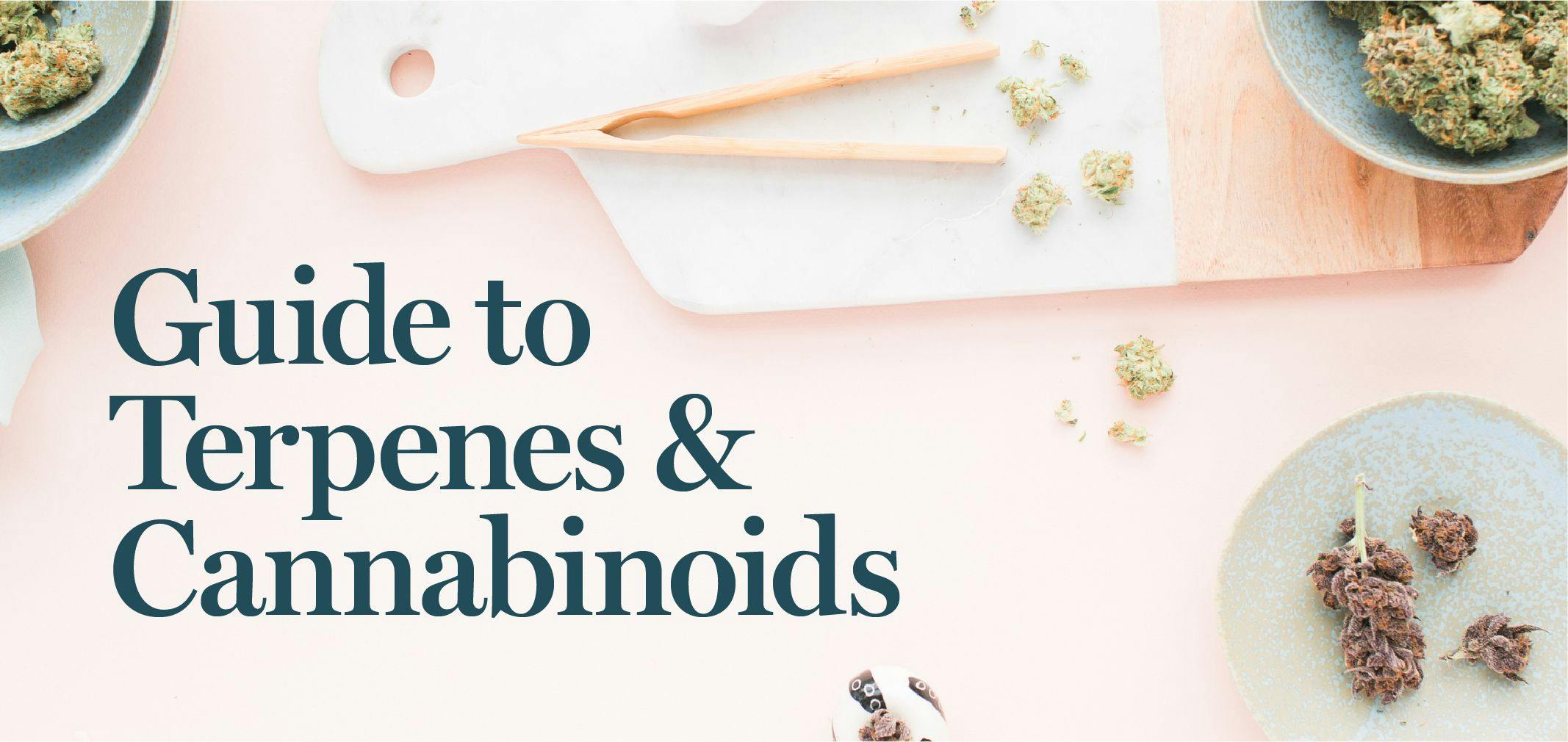 Guide to terpenes and cannabinoids