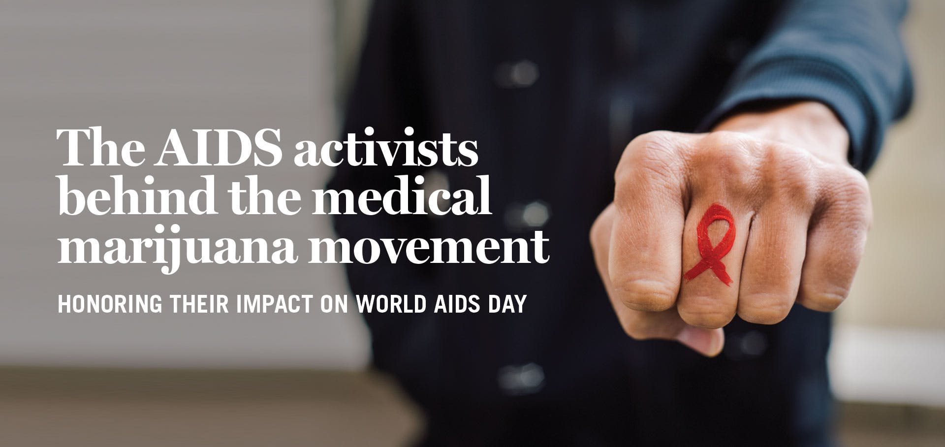 World AIDS Day AIDS Activism Paved the Way for Cannabis Legalization