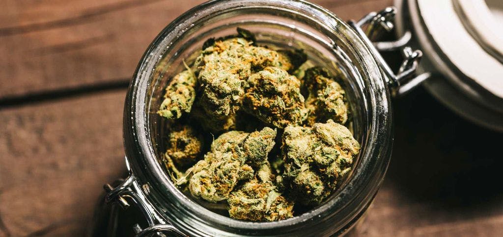 Is that mason jar keeping your cannabis fresh?