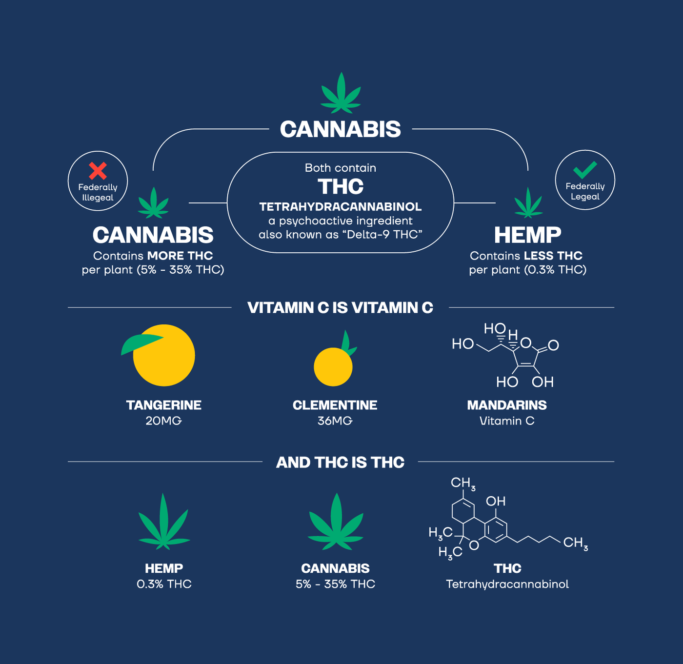 THCxCL_Dispensary_Blog_GFX_Hem